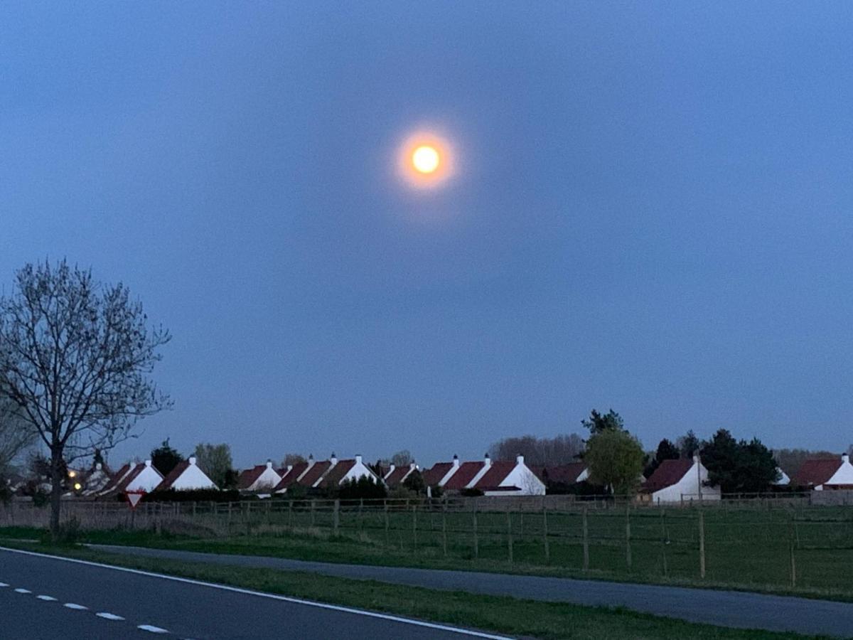 Duinendaele 166 De Panne